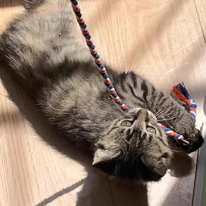 IUHKBH Cat Wands, Safe Kitty Toys - Image 6