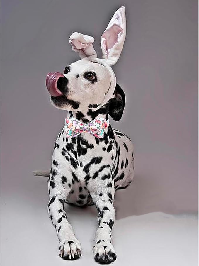 Lionheart glory Dog Bow Collar Easter Day Dog Collar - Image 5