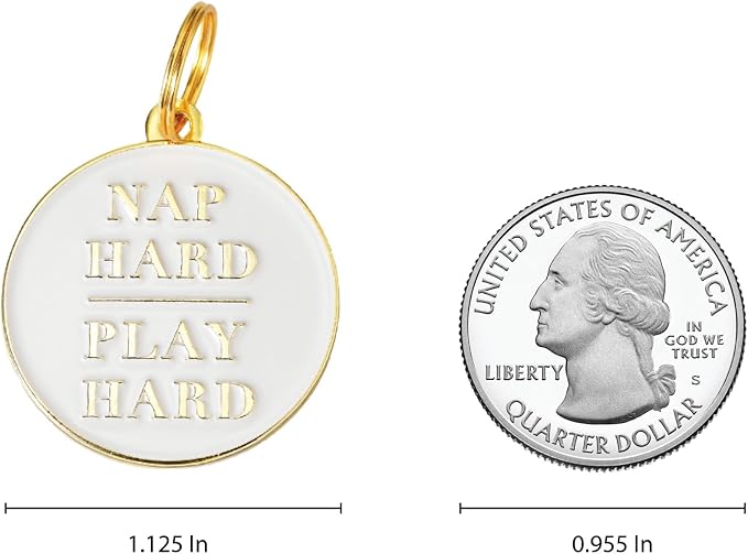 Two Tails Pet Company Personalized 'Nap Hard, Play Hard' Pet ID Tag & Collar - Image 2