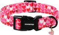 DOGWONG Valentine Dog Collar, Girl Female Dog Collars by DOGWONG