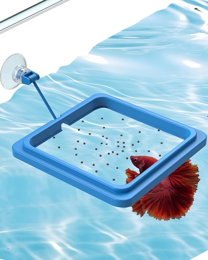 Pawfly Fish Feeding Ring for Fish Tank Aquarium Feeding Ring by Pawfly
