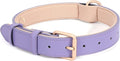 WHIPPY Leather Dog Collar for Small Medium Large Dog Adjustable Soft Breathable by WHIPPY