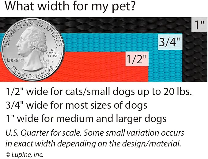 LupinePet Originals 1" Jelly Roll 12-20" Adjustable Collar - Image 5