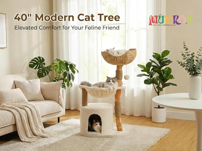 Modern Cat Tree for Large Cats, Wood Cat Tower for Indoor Cats, Real Branch - Image 8