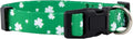 Native Pup St Patricks Dog Collar- Saint Patrick Green Shamrock Pet Collars- by NativePup