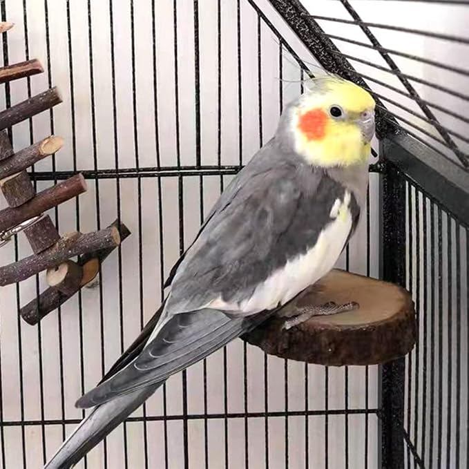Hamiledyi Perch Platform for Bird Cage, Natural Round Wooden Stand Platform - Image 3