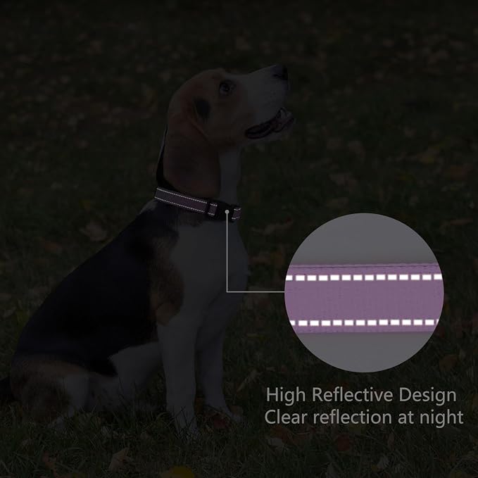 Reflective Dog Collar Padded - Image 5