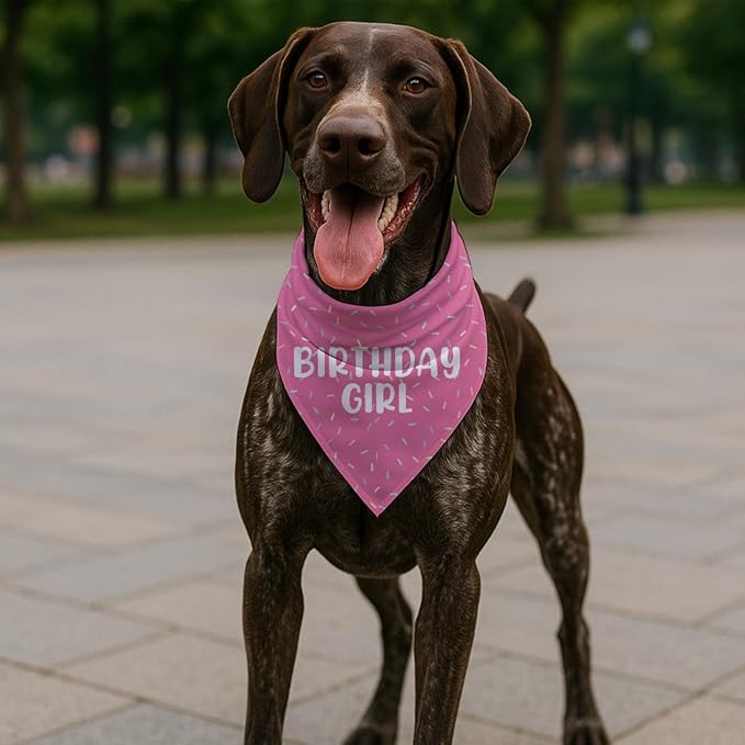 Happy Birthday Dog Bandana, Adjustable Triangle Dog Bandana - Image 5