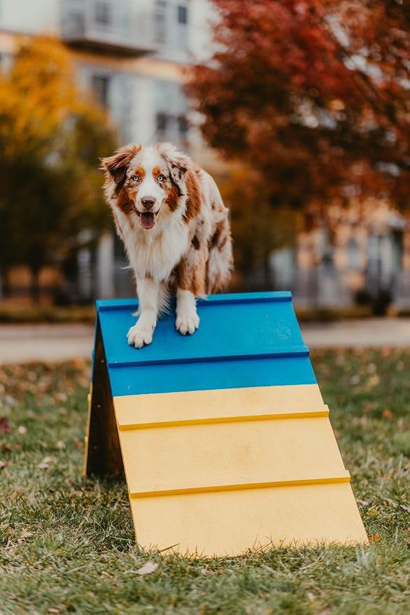 Better Sporting Dogs Agility A-Frame | Dog Agility Equipment | Dog Agility - Image 7