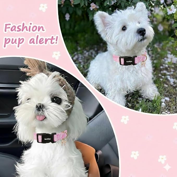 Medium Dog Collar, Girl Boy Dog Collars - Image 4