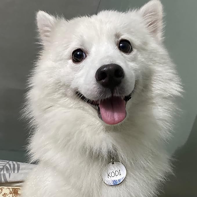 316 Surgical Grade Stainless Steel Personalized Dog & Cat ID Tags - Image 6