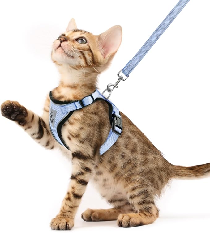 PUPTECK Cat Harness and Leash Set Escape Proof Reflective Cat Walking Harness by PUPTECK