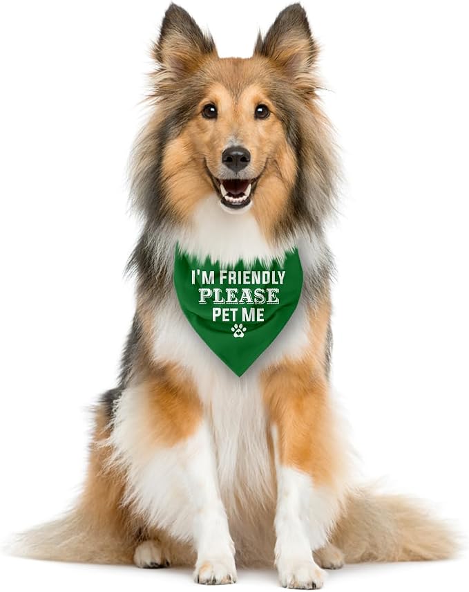I'm Friendly Please Pet Me Dog Bandana - Image 3