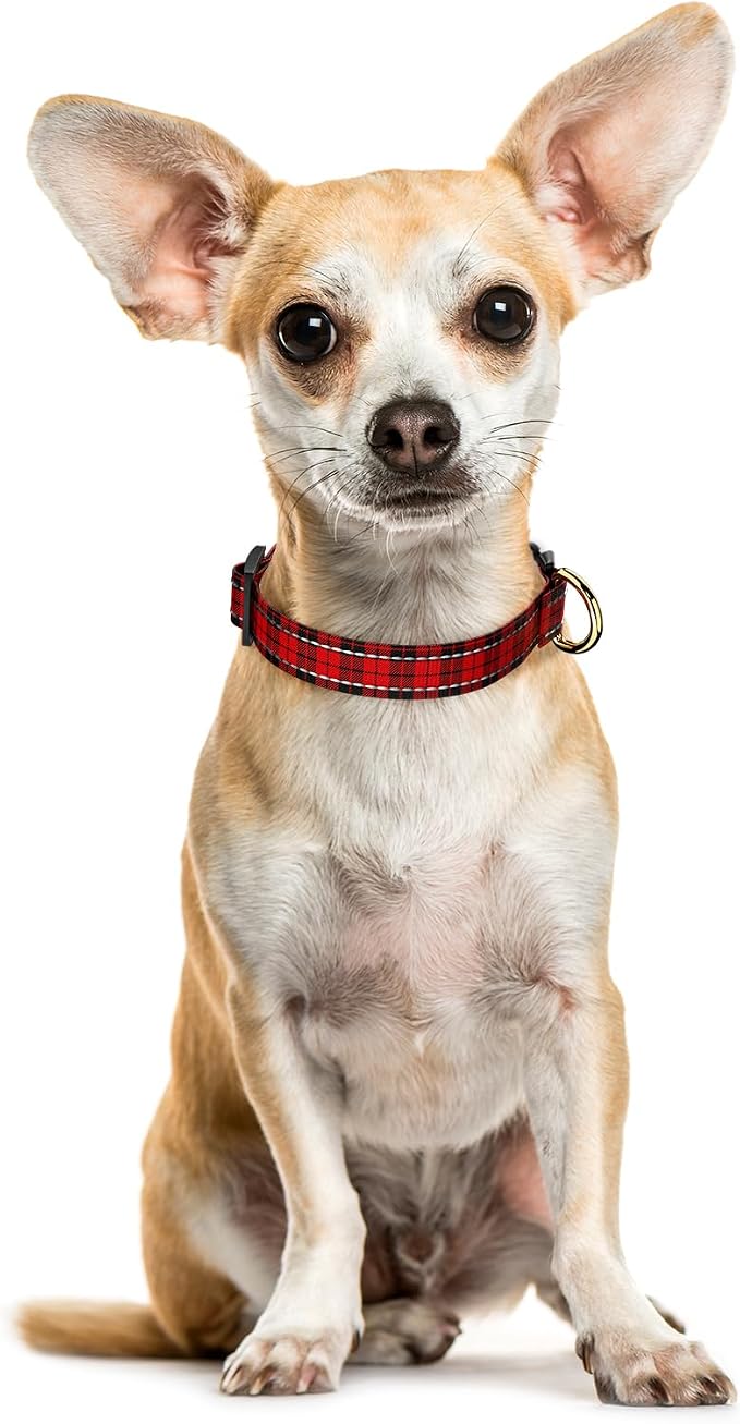 Reflective Dog Collar for Extra Small Dogs, Cute Boho Adjustable Heavy-Duty - Image 2