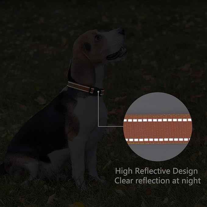 Reflective Dog Collar Padded
