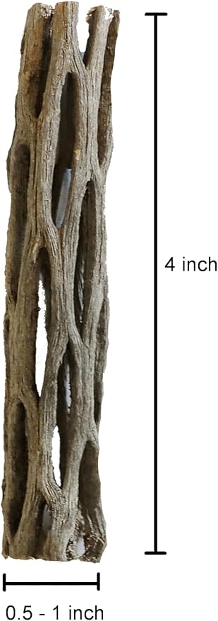 Natural Cholla Wood for Aquarium Decoration Shrimp and Fish Tank) - Image 5