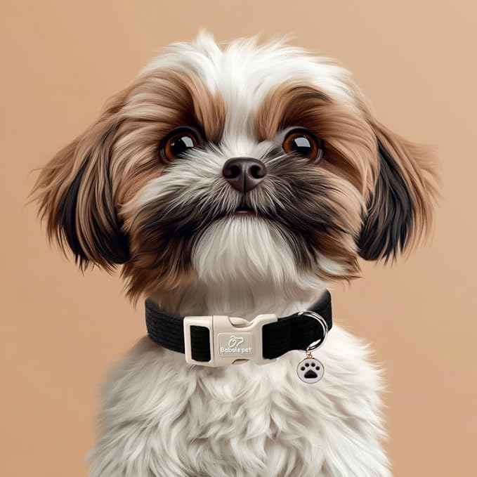Cute Corduroy Dog Collar