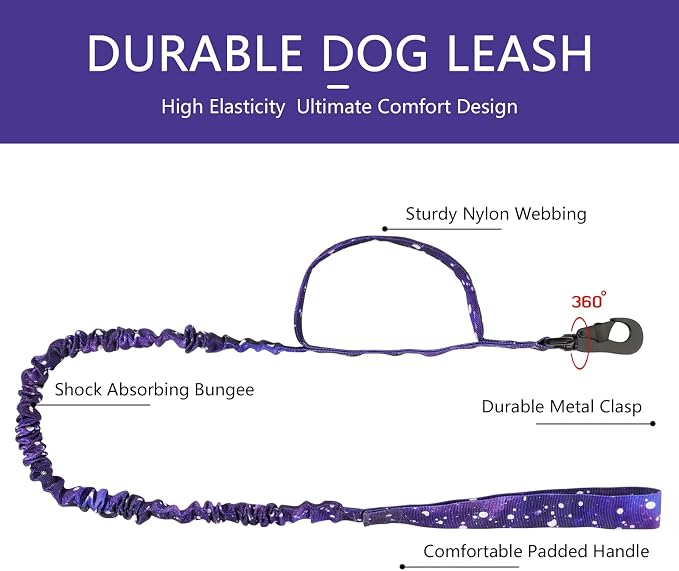 DAGANXI Tactical Dog Collar, Adjustable Military Training Nylon Dog Collar - Image 5