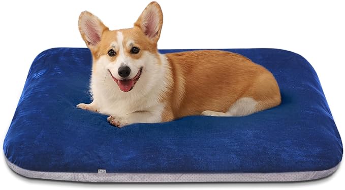Magic Dog Super Soft Medium Dog Bed, 32 Inches Orthopedic Foam Pet Beds by MagicDog