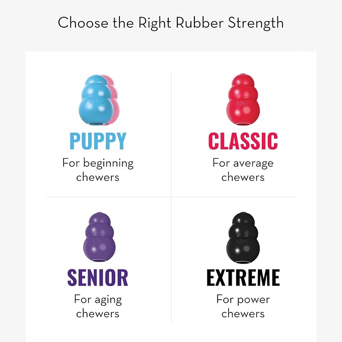 KONG - Puppy Toy - Natural Teething Rubber - Fun to Chew, Chase and Fetch - Image 7