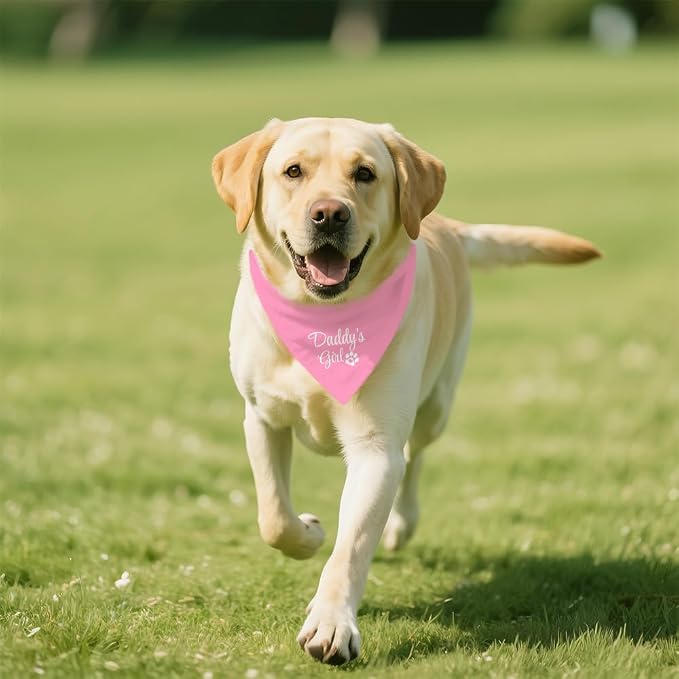 Daddy's Girl Funny Dog Bandana, Valentines Day Dog Bandana - Image 5