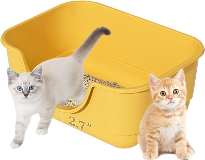 Low Entry Small Litter Box for Kittens, Kitty Plastic Litter Boxes, Open Top by Unknown
