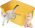 Low Entry Small Litter Box for Kittens, Kitty Plastic Litter Boxes, Open Top by Unknown