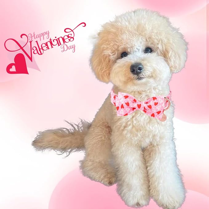Valentine’s Day Dog Collar - Image 6