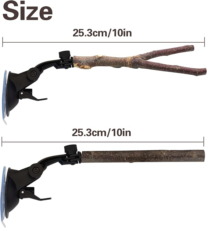 Natural Wood Bird Perch Stand - Image 2