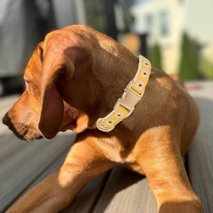 Woven Dog Collar with Metal Buckle Adjustable Jacquard Retro Dog Collars - Image 5