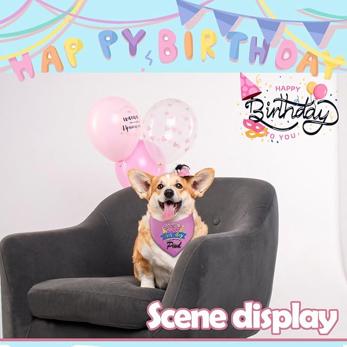 Personalized Dog Birthday Bandana, Happy Birthday Scarf - Image 7
