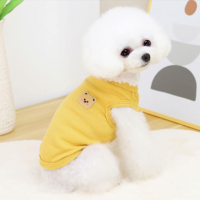 Cotton Dog & Cat T-Shirts - Image 5