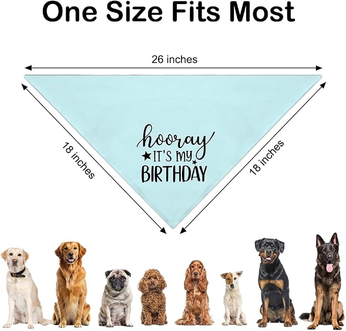 Hooray It's My Birthday Blue Dog Bandana, Cute Birthday Gifts - Image 2