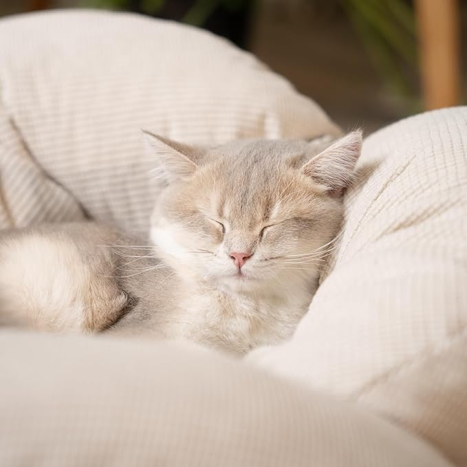 CHEERHOME PETS Elevated Cat Bed Wooden - Image 7