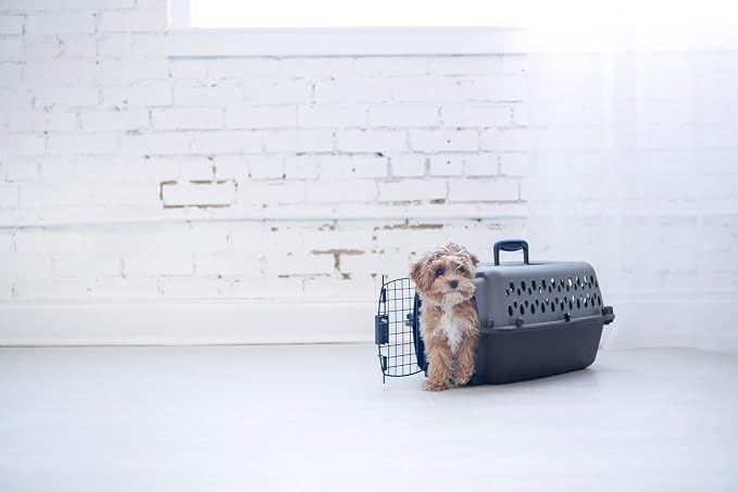 Petmate Pet Porter Dog Kennel 19", Dark Gray & Black, - Image 8