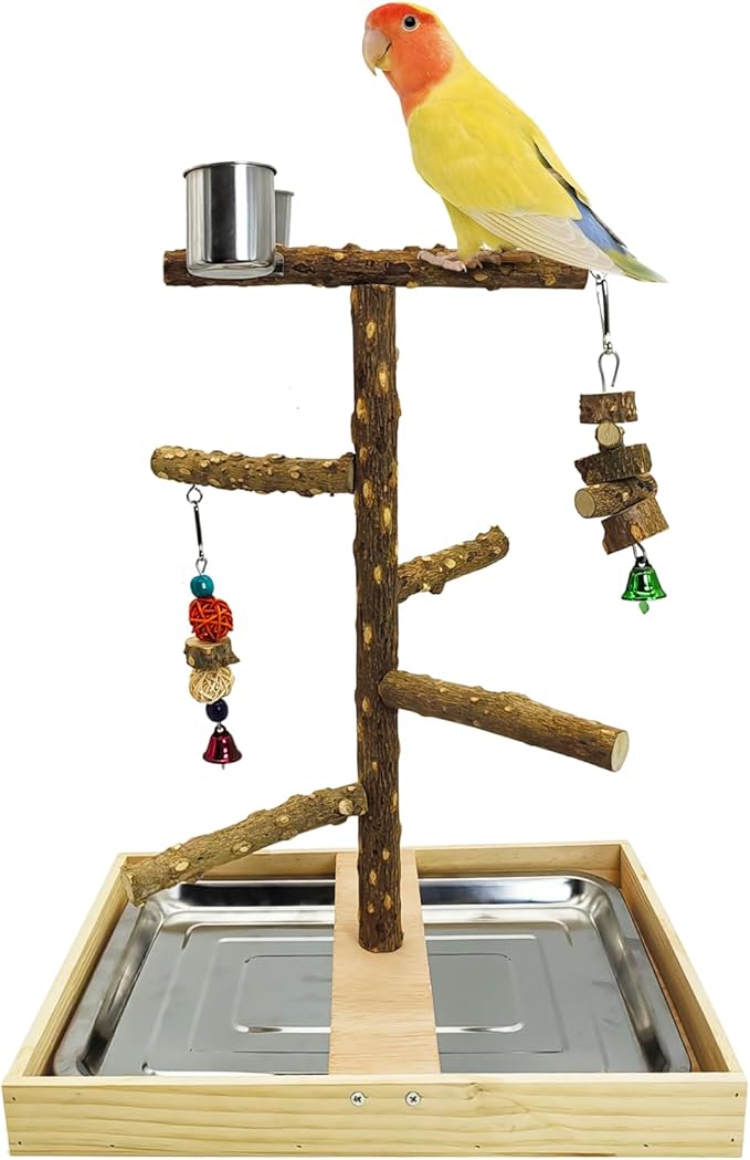 Natural wood branching bird perch and play stand