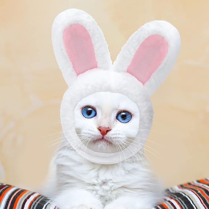 Weewooday 5 Pcs Cat Adorable Costume Bunny Hat - Image 4