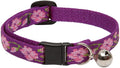 LupinePet Originals 1/2" Rose Garden Cat Safety Collar by LupinePet