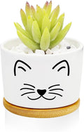 Window Garden Cat Planter Pots, Cat Gifts by Databa