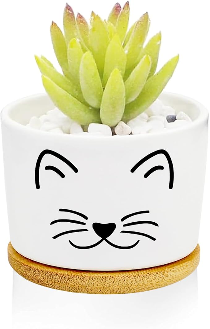 Window Garden Cat Planter Pots, Cat Gifts by Databa