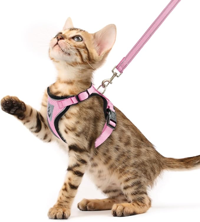 PUPTECK Cat Harness and Leash Set Escape Proof Reflective Cat Walking Harness by PUPTECK