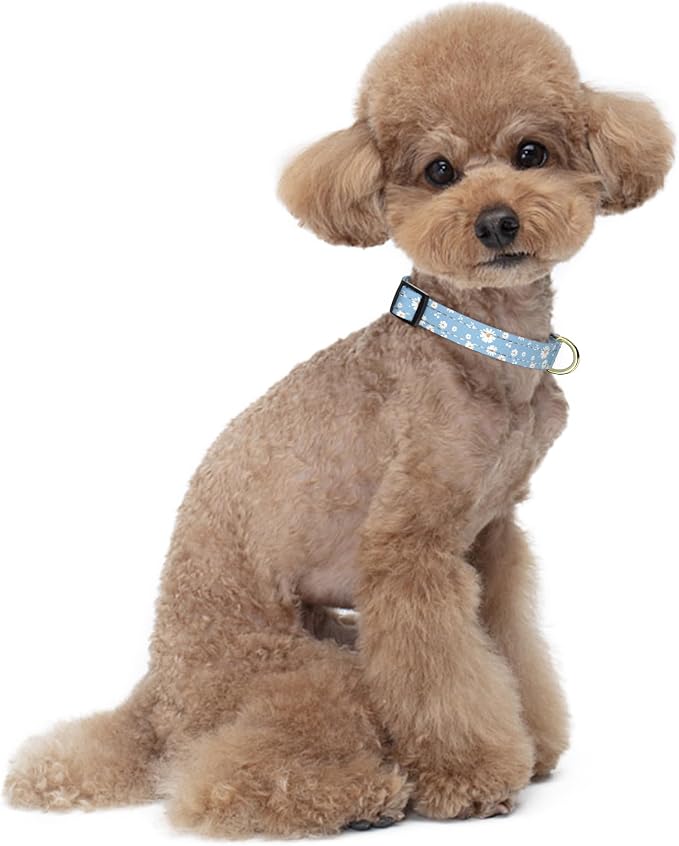 Reflective Dog Collar for Small Dogs, Cute Daisy Theme Adjustable Heavy-Duty - Image 2