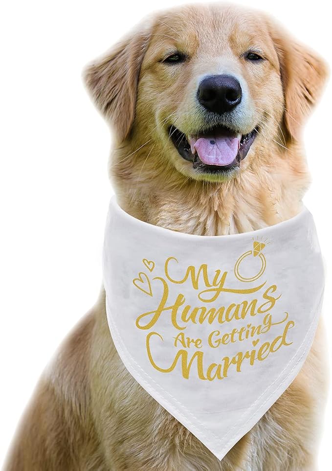 Engagement Gift, My Humans are Getting Married Dog Bandana, Wedding Photo Prop - Image 2