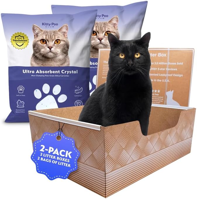 Leakproof Disposable 2-Pack Cat Litter Box by KittyPooClub