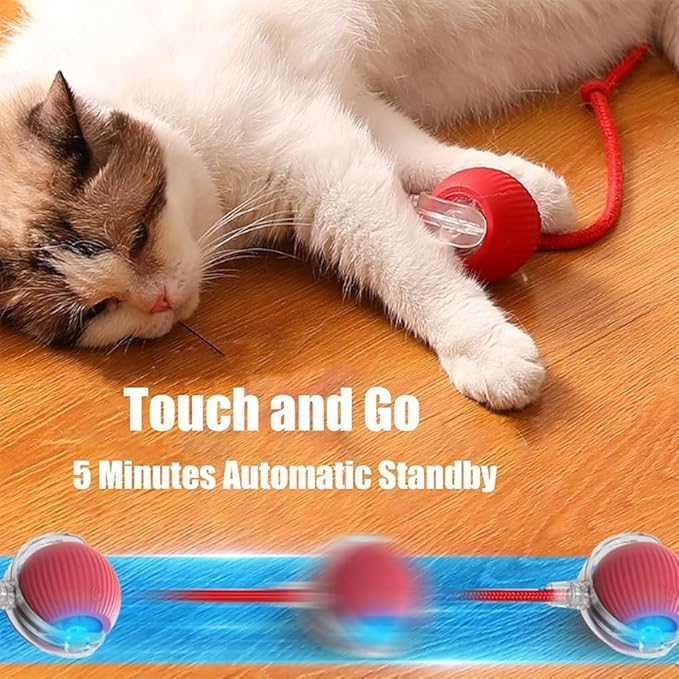 2 Packs New Electric Dog Ball Toy - Image 3