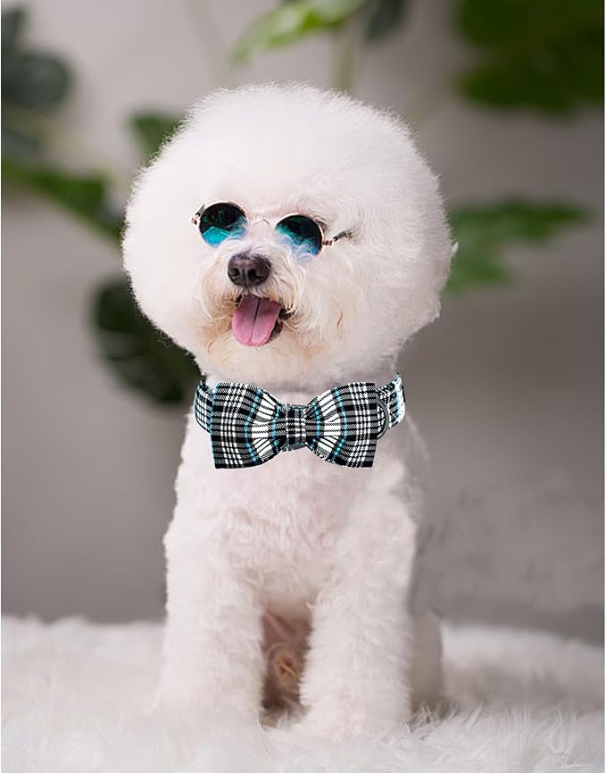 Lionheart glory Dog Bow Collar Blue and Black Plaid Dog Collar - Image 6