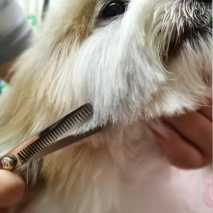 Dog Grooming Scissors with Safety Round Tips Stainless Steel Professional Dog - Image 8