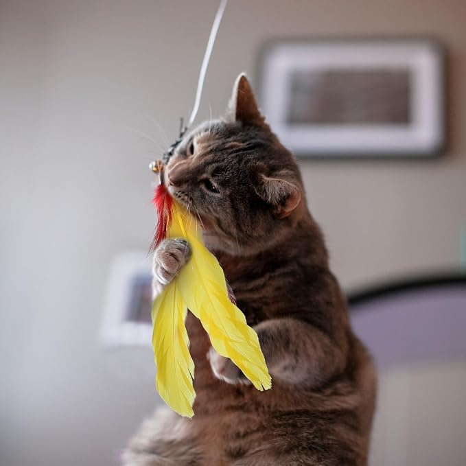 12Pcs Cat Feather Toys Refills, Feather Cat Wand Toys Attachment - Image 6