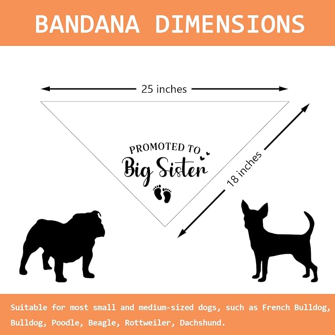 Promoted to Big Sister Pregnancy Announcement Dog Bandana Baby Gender Reveal - Image 2