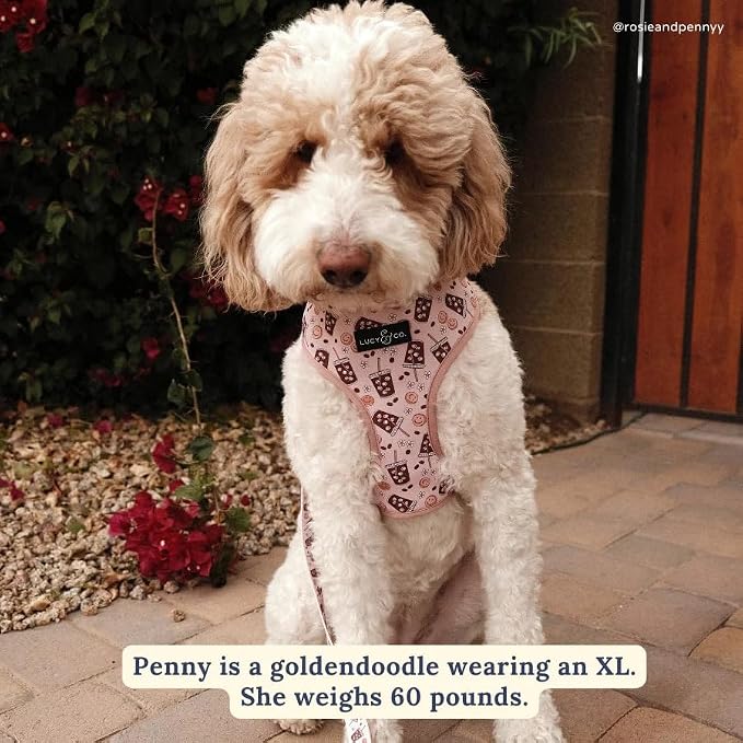 Cute Reversible Dog Harness - Image 2